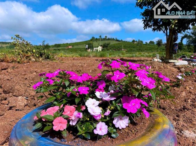 ✨ Chỉ 670TR/ hơn 1.000m2 (100m2 ONT), đường Bê Tông (QH: 20M), cách Nhựa Lớn Liên Xã 400m - 8