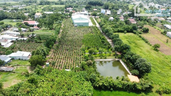 BĐS KHU CÔNG NGHIỆP, BÁN NHÀ XƯỠNG + ĐẤT QUỐC LỘ 56, SONADEZI NGHĨA THÀNH 16.0000m2 - 9