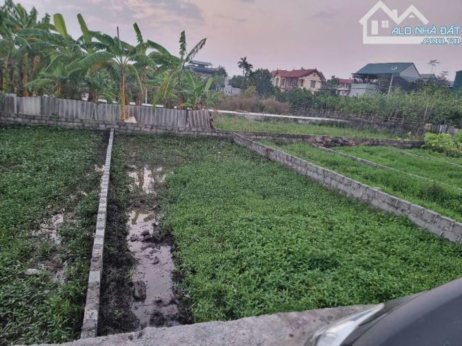 Mảnh đất vuông đẹp giá rẻ ô tô đỗ cửa 👉 thư phú -thường Tín