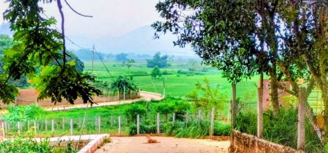 Với hơn 8tỷ đã có 2005m2 đất Tản Lĩnh, Ba Vì, gần Yên Bài, Vườn QG, TL414, TT xã Suối Hai.