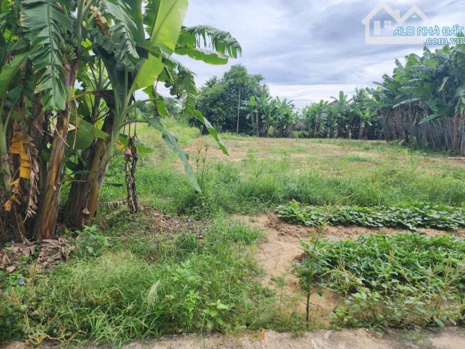 Đất cẩm toại đông hòa vang, 163m2 có 120m2 đất ở giá rẻ 750 triệu