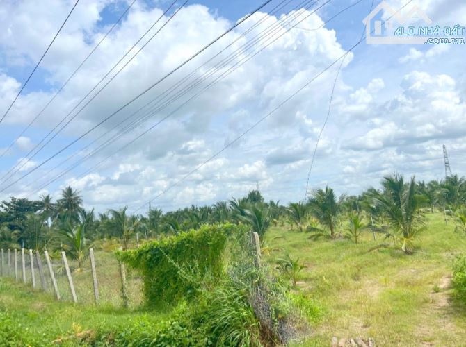 Đất 2 mặt tiền đường Trần Văn Trà, Phiownfg Bình Minh, Tây Ninh
