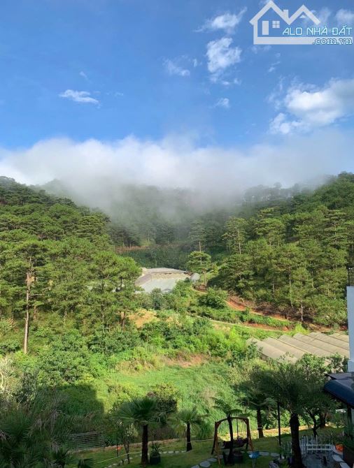 🏡Sót lại duy nhất 1 lô đất Giá rẻ !! 252m2 (12x22m) View thông cực đẹp, phường Xuân Hương