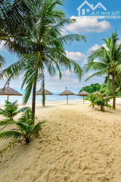 SIÊU HIẾM 💥💥💥 BÁN KS MẶT TIỀN HỒ NGHINH, DÒNG TIỀN ỔN ĐỊNH, GIÁ 37.5 TỶ💥