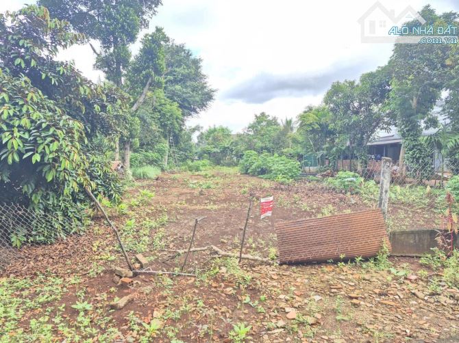 ✅Cần Bán Đất Eatu Phường Tân An mới. đường nhựa 10m.