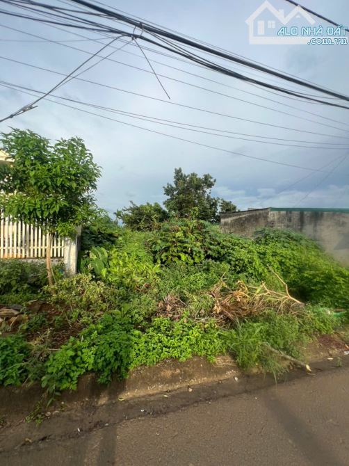 BÁN LÔ ĐẤT MẶT TIỀN NGUYỄN THÁI BÌNH – PHƯỜNG TÂN LẬP, ĐẮK LẮK