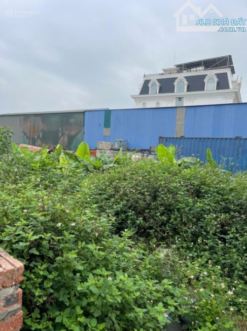 BÁN GẤP!!! ĐẤT PHÂN LÔ 105M² PHÍA TÂY CẦU PHÚ LƯƠNG – 13 TỶ