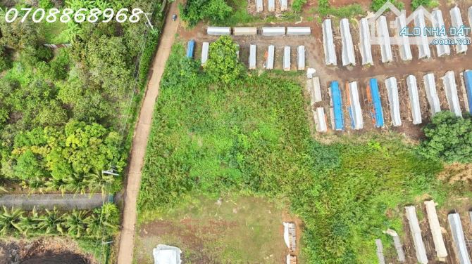 Bán đất tại Hưng Lộc, Thống Nhất, Đồng Nai, giá tốt 2,9 tỷ, 1007,8 m2