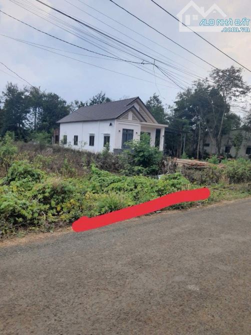 LÔ THỔ CƯ MẶT ĐƯỜNG D3 -KM11 EATU - BMT 1Tỷ750Triệu