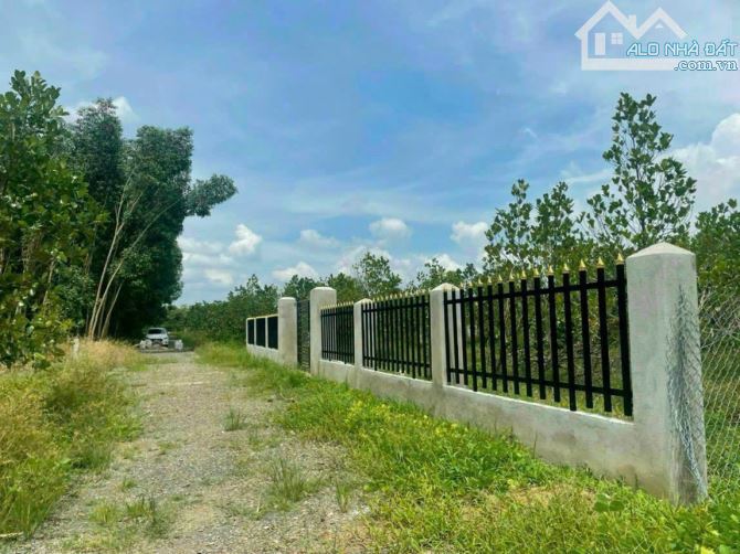 Cần bán đất Thanh Sơn, Định Quán - 580 triệu