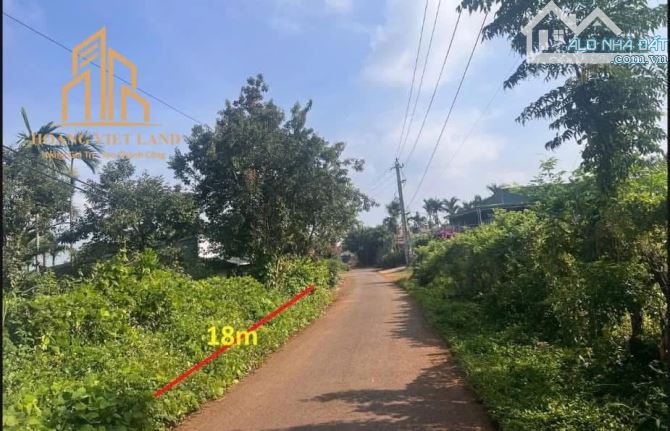 🌻🌻Bán đất biệt thự hẻm Nguyễn Thái Bình Dt:18x35m (Thổ cư 75 m²  ) hướng Đông - 4,6 tỷ!!