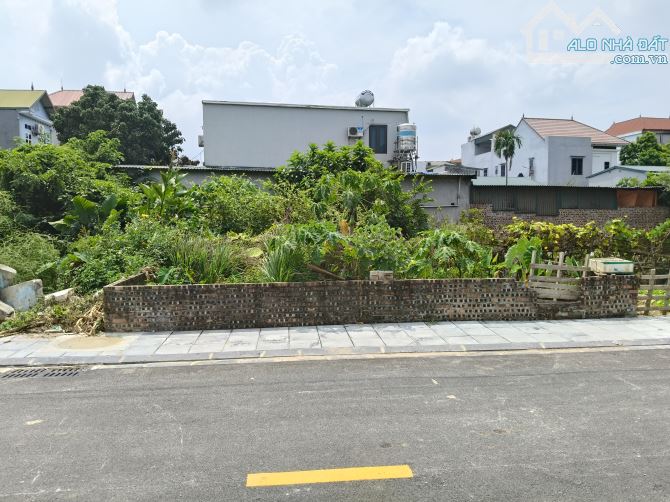 Bán đẫt x2 sơn Du xã nguyên khê