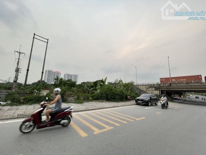CỔ BI THUẬN AN TRÂU QUỲ GIA LÂM HÀ NỘI