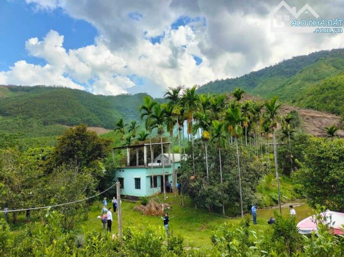 Chào bán 100 hecta đất Hòa ninh gần các trung tâm thương mại tự Do.