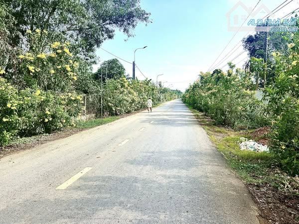 Bán đất 100m2 P. Tân Triều mới, gần TT Biên Hòa, SHR, chỉ hơn 1 tỷ