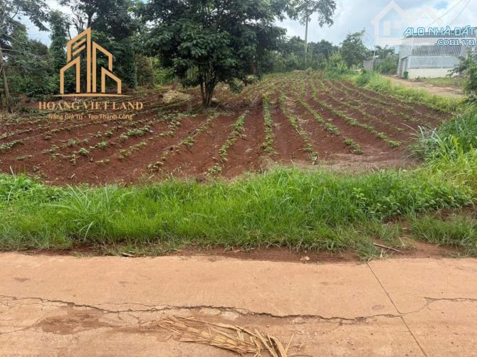 1,6 sào có 300m đất ở hẻm 10 Tháng 3 thông vào khu y moan