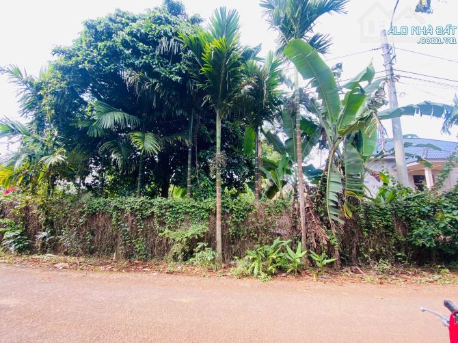 Bán đất mặt tiền tại KA7 Eatu phường Tân An