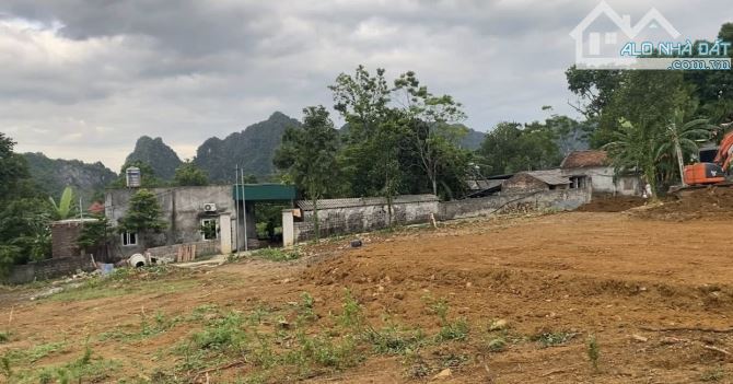 bán 8000m trong đó có 7000m đất vườn còn lại 400 đất ở tại đá bạc liên sơn hoà bình cũ .