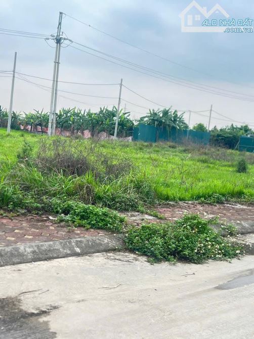 Bán gấp đất đấu giá Hoàng Xá Khánh hà Thường Tín ,ô tô ,phân lô ,vỉa hè giá 5.5 tỷ