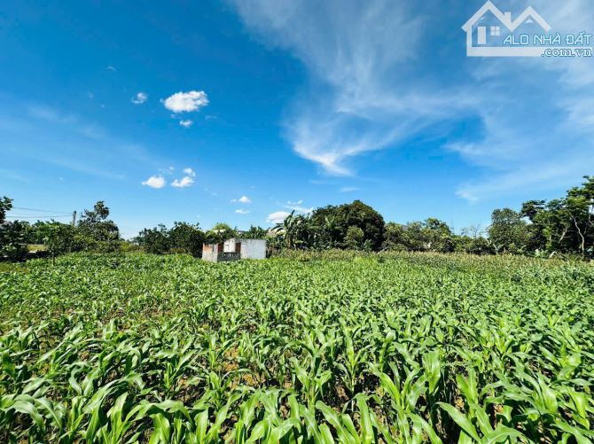 SIÊU PHẨM BÁM KCN NHUẬN TRẠCH - 2045m2  - MT27m - VIEW ĐẸP - GIÁ BẰNG 1/2 PHÂN LÔ - 1