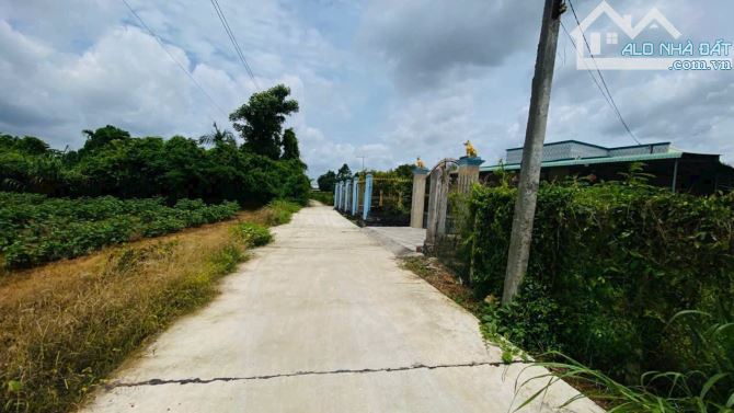 👉MẢNH ĐẤT 10M MẶT TIỀN BÊ TÔNG XE HƠI , CÁCH ĐƯỜNG NHỰA 50M XÃ ĐẤT ĐỎ , HCM - 1
