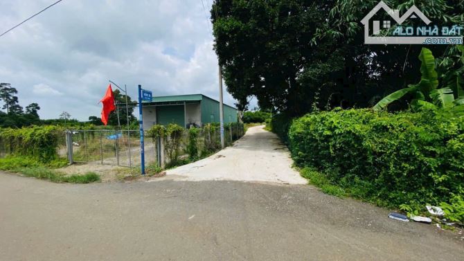 👉MẢNH ĐẤT 10M MẶT TIỀN BÊ TÔNG XE HƠI , CÁCH ĐƯỜNG NHỰA 50M XÃ ĐẤT ĐỎ , HCM - 1