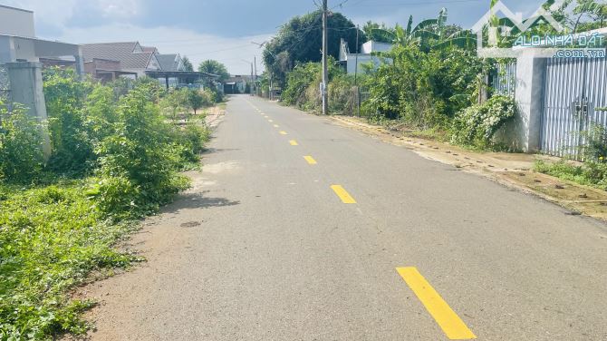 🎯Chủ gủi bán căn nhà Vườn trung tâm Long Tân - Long Đất - BRVT. 💥Dt: 1000m2 sẵn 100tc - 1