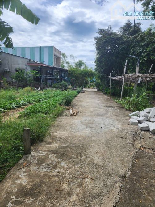 Đất cẩm toại đông hòa vang, 163m2 có 120m2 đất ở giá rẻ 750 triệu - 1
