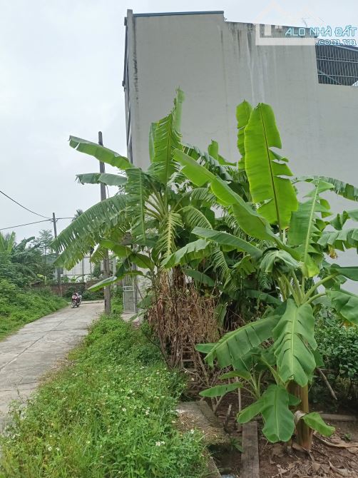Cần bán  đất 90 M2 tại phượng đồng phường chương mỹ hà nội - 1