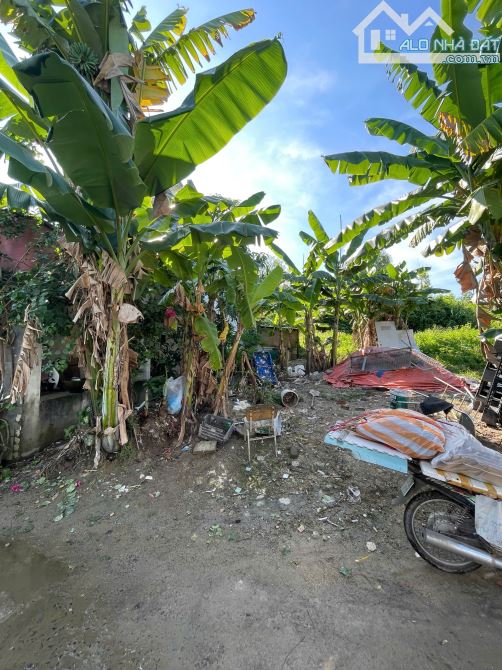 "📍 Bán đất thôn Quan Nam 4 – Hoà Liên, Hoà Vang - 1