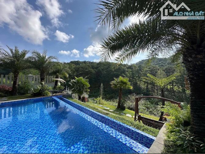 🏡Sót lại duy nhất 1 lô đất Giá rẻ !! 252m2 (12x22m) View thông cực đẹp, phường Xuân Hương - 1