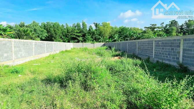 CẦN BÁN  MẶT TIỀN ĐƯỜNG ĐOÀN TRUNG CÒN - THỊ TRẤN ĐẤT ĐỎ- CÁCH TỈNH LỘ 52 CHỈ 50M - 1