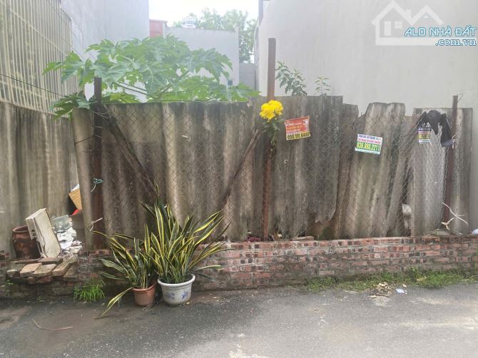 BÁN ĐẤT 79M GIÁ CHỈ 6.X TỶ VỊ TRÍ TRUNG TÂM LỄ PHÁP, TIÊN DƯƠNG, ĐÔNG ANH - 1
