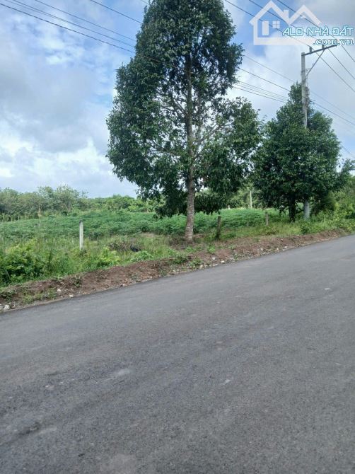 BÁC EM MUỐN SANG LẠI MIỆNG ĐẤT Ở PHÚ GIÁO BINH DƯƠNG Mặt Đường Dh 504 ngang 10x 40 giá 700 - 1