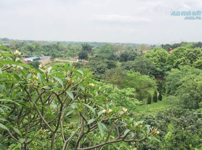 GẦN 1000M2 (20X48M) 12,5TR/M2 VIEW CỰC ĐẸP GIÁ TỐT - 1