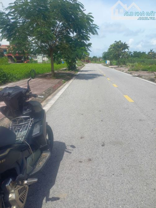 cần bán 144m2 đấu giá suối rồng Ngọc Xuyên, Đồ Sơn, Hải Phòng rẻ nhất - 1
