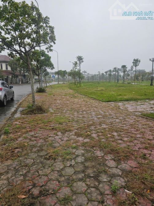 BÁN ĐẤT KINH DOANH 186M² PHÍA TÂY CẦU PHÚ LƯƠNG – GIÁ 24 TỶ - 1