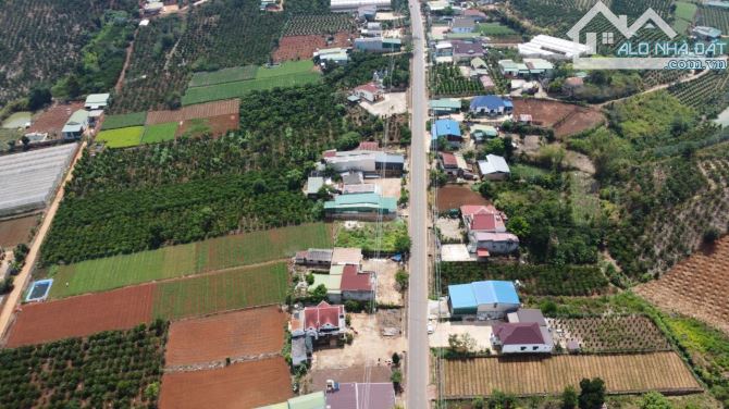✨✨BÁN ĐẤT MẶT TIỀN ĐƯỜNG NHỰA CHÍNH - Xã Nam Hà 🌳 🌳  - Lâm Hà - Chỉ Với 2,1 Tỷ 🌳 🌳 - 1