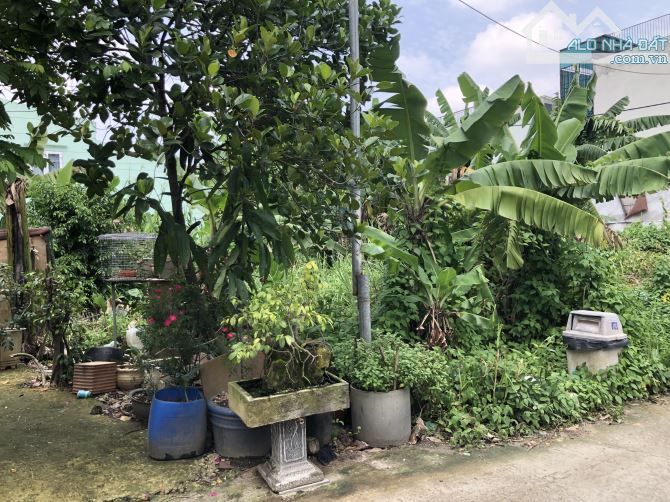 Bán đất Thạnh Xuân 52 Ngang 5,3m Hai mặt tiền trước sau cực đẹp - 1