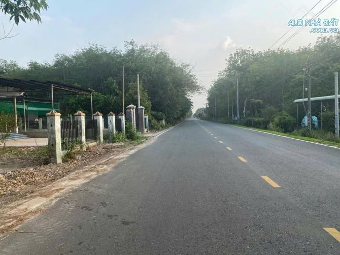 Đất thị trấn Tân Phú đầy đủ tiện ích có 50 đất ở đô thị, 395 triệu bao sổ bao công chứng - 1
