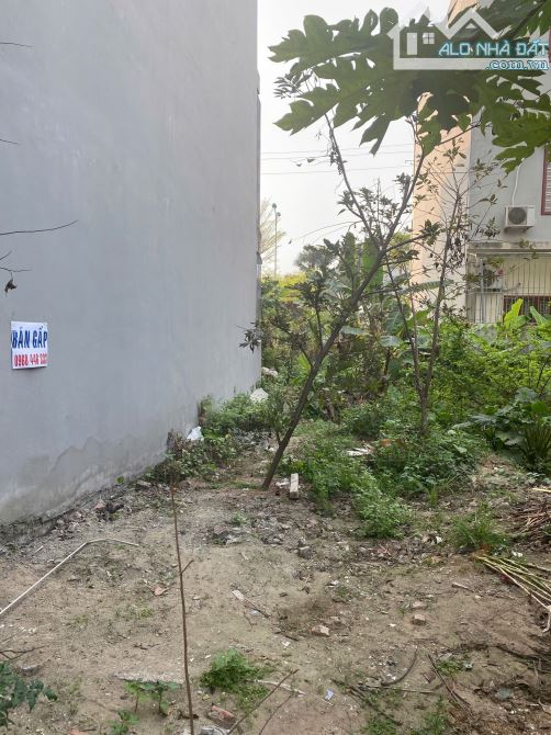BÁN ĐẤT NHỊ CHÂU HẢI DƯƠNG 100M² PHÂN LÔ Ô TÔ TRÁNH KINH DOANH GIÁ 14 TỶ - 1
