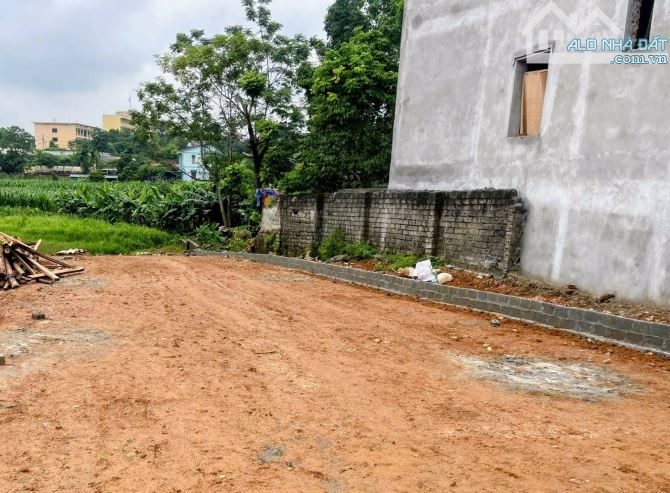 Chỉ 2tỷ, có 316m2 đất vuông, đẹp, oto, bám đồng, Tản Lĩnh, gần Yên Bài, Ba vì. - 1