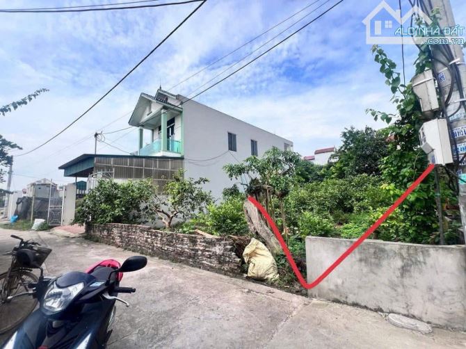 Cần tiền bán gấp 110m tại Đan Kim. Lõi đô thị của Văn Giang. Chỉ 33tr/m. Hàng hiếm giá tôt - 1