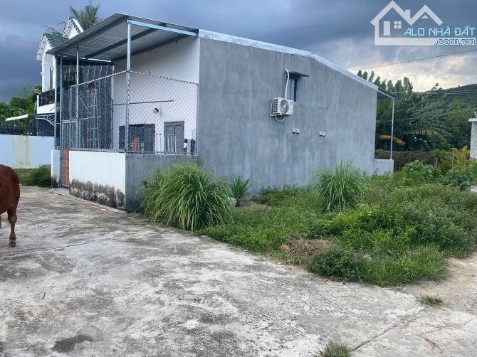 Bán đất Diên Lạc – Diên Khánh (đường Tổ 7-8-9) kề khu hành chính xã - 1