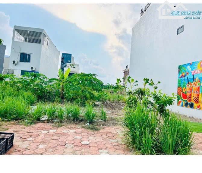 LÔ ĐẤT DUY NHẤT KHU PHÂN LÔ ĐỐNG CHUỐI – HÙNG VƯƠNG, HỒNG BÀNG- HẢI PHÒNG - 1
