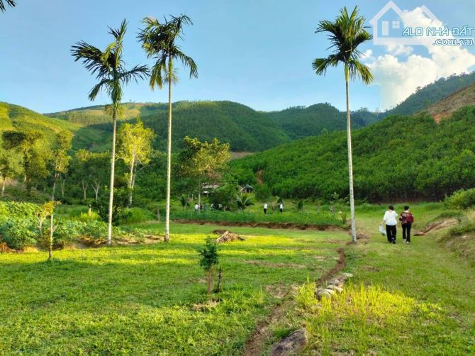Chào bán 100 hecta đất Hòa ninh gần các trung tâm thương mại tự Do. - 1