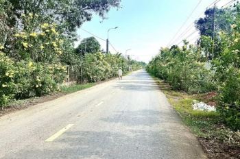 Bán đất 100m2 P. Tân Triều mới, gần TT Biên Hòa, SHR, chỉ hơn 1 tỷ - 1