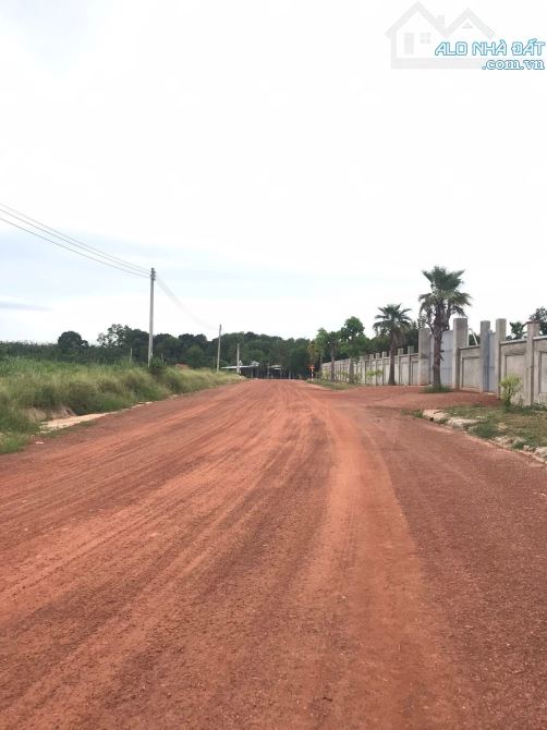 Bán 2 lô Đất View Hồ Dầu Tiếng - 1