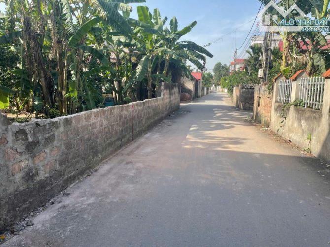 Trục kinh doanh Bột Xuyên, Mỹ Đức, Hà Nội - 1