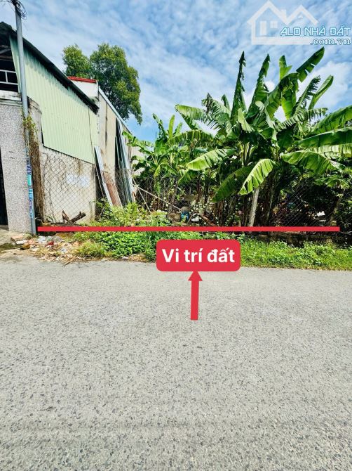 ĐẤT RẺ KHU 8 PHÚ HÒA (nay P. Phú Lợi, TDM)  5 x 23m – vuông vức, xây dựng thoải mái - 1